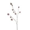 Umetna veja Physalis volčje jabolko 80 cm - rožnata - 76 do 100 cm