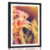 Plakat s paspartujem čudoviti cvetovi na vrtu - 30x45 no frame