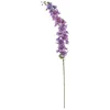 Shishi Vijolični cvet Delphinium 130 cm