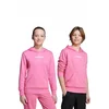 ADIDAS DUKS J LIN FL HD UNISEX DJEČIJI