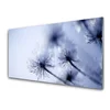 tulup.si Slika na steklu Dandelion rastlin 120x60 cm 2 obešalnika