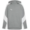 teamEVOSTRIPE Hoody