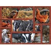 Cobble Hill Puzzle Prijatelji na kmetiji XL 275 kosov