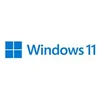 MS ESD Windows Professional 11 64-bit All Languages Online Product Key License 1 License Downloadable ESD NR