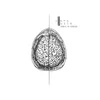 Clara Luzia - Heres To Nemesis (Limited Edition) (LP)