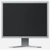 Eizo FlexScan S2133-GY
