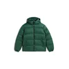 Tommy Jeans Puhovka Essential  DM0DM19786 Temno zelena Regular Fit
