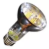 Led sijalica e27 8w r20