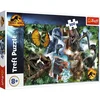 Puzzle 300 dinosaurs