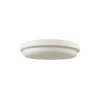 LED stropno svetlo za kupatilo LED/24W/230V 6500K IP54 prečnik 24 cm