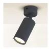Brilagi - Spot svetiljka SELE 1xGU10/30W/230V antracitna