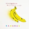 Malcolm Middleton - Bananas/Wellbeing - Compilation Of Songs (Arab Strab) (LP)