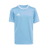 ADIDAS PERFORMANCE Funkcionalna majica ENT26 svetlo modra/bela