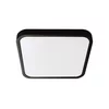 LED kupatilsko plafonsko svetlo LED/24W/230V 6500K IP44 crno