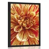 Plakat eksotična dalija - 60x90 no frame