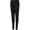 Puma teamRISE Poly Trg Pants Jr