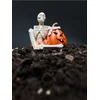 Sinsay - LED Halloween dekoracija u obliku kostura i bundeve - belo