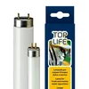 Ferplast žarnica Toplife - 14 W / 36,1 cm
