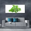 tulup.si Slika na akrilnem steklu Mint rastlin narava 125x50 cm 4 obešalnika