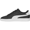 Puma - pisana