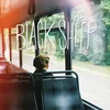 Black Sheep - Motion Pictures (LP)