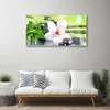 tulup.si Slika na steklu Orchid bamboo listi 120x60 cm 2 obešalnika