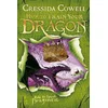 How to Train Your Dragon: How To Speak Dragonese