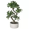 FEJKA Veštačka biljka sa saksijom, unutra/spolja bonsai, 16 cm
