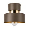 Plafonsko svetlo IGNIA 1xE27/60W/230V braon/zlatna