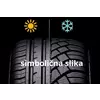 Minerva F205 ( 225/40 R18 92Y XL )