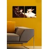 Wallity Zidni sat 2P2828CS-4, 60x28 cm, 2 dela