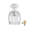 BRILAGI - LED stropna lampa R GLASS 1xE27/60W/230V O 26 cm bela/dim siva
