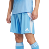ADIDAS PERFORMANCE Športne hlače Tiro 24 svetlo modra / bela