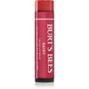 Burt’s Bees Tinted Lip Balm balzam za ustnice odtenek Daisy 4.25 g