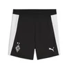 PUMA Borussia Mönchengladbach Training Shorts Youth, Age, Black/White, 15-16Y