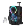 Bluetooth zvucnik karaoke set sa mikrofonom NDR-P08 crni