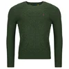 Polo Ralph Lauren PULL COL ROND EN MAILLE TORSADEE LAINE CACHEMIRE Zelena