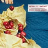 Nation Of Language - Dance Called Memory (Limited Edition) (LP)