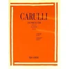 CARULLI:24 PRELUDES FROM OP.114 FOR GUITAR