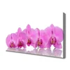 tulup.si Slika na platnu Pink orchid cvetje 120x60 cm