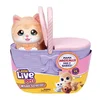 Little Live Pets interaktivna mačka