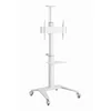 GEMBIRD TVS-70T-02-W Aluminijasto talno stojalo za TV s kolesi 37-70 Bel, (5000115349)