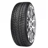 Gripmax Suregrip Pro Winter ( 255/40 R19 100V XL )