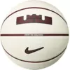 NIKE Lopta playground signature bb 7