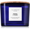 Vila Hermanos Apothecary Cobalt Blue Mimosa & Thiare dišeča sveča 350 g