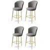 Hanah Home Set barskih stolica Alte, 4 komada, Sivo-zlatni