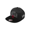 Chicago Bulls Mitchell & Ness G2 Winners kapa