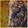 The Spirit Of The Beehive - Pleasure Suck (Transparent Orange Vinyl Coloured) (LP)
