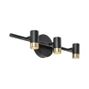 Rabalux Spot lampa Kadir, LED, 9W, 4000K, IP44, Crno-zlatna