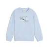 PUMA Essentials Graphics Scribble GFX Relaxed Crew Sweatshirt Kids, Shop, Haute Tropic, 2-3Y